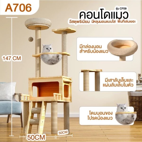 คอนโดแมว บ้านแมว คอนโดแมวไม้ - Image 5