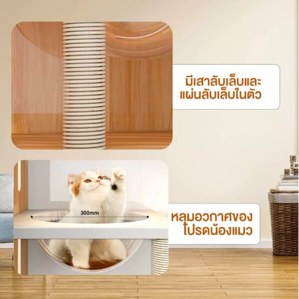 บ้านแมวไม้ สไตล์มินิมอล Cat Villa วิลล่าแมว กรงแมวไม้ - Image 6