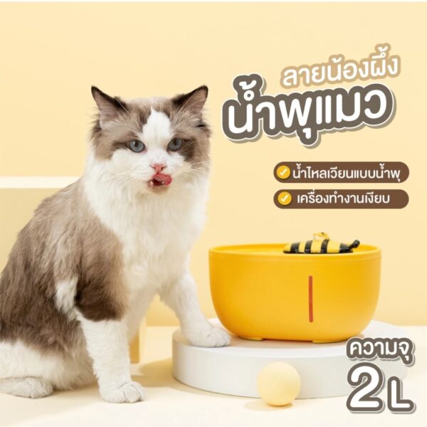 น้ำพุแมว น้ำพุสัตว์เลี้ยง อัตโนมัติ - Image 5