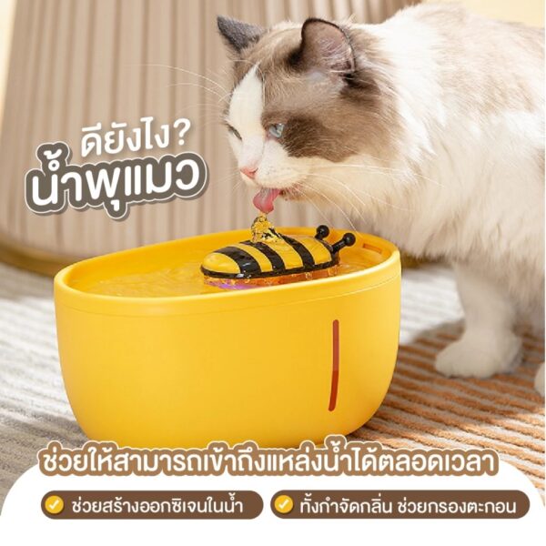 น้ำพุแมว น้ำพุสัตว์เลี้ยง อัตโนมัติ - Image 11