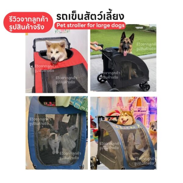 รถเข็นสัตว์เลี้ยง ขนาดใหญ่ ฟรี!! สายจูง - Image 9