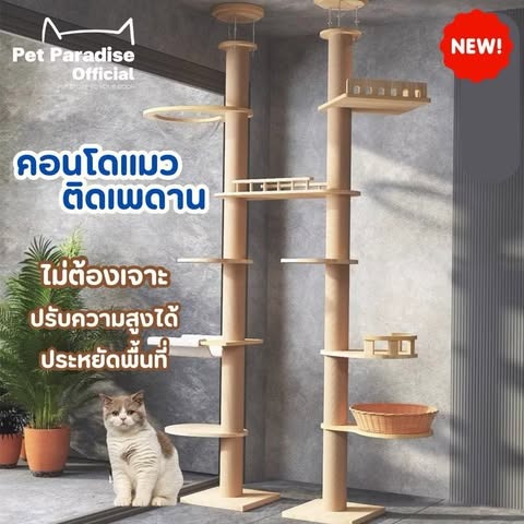 คอนโดแมวติดเพดาน แท่นเสาปีนป่าย เหมาะกับเพดานสูง 230-290 เซนติเมตร
