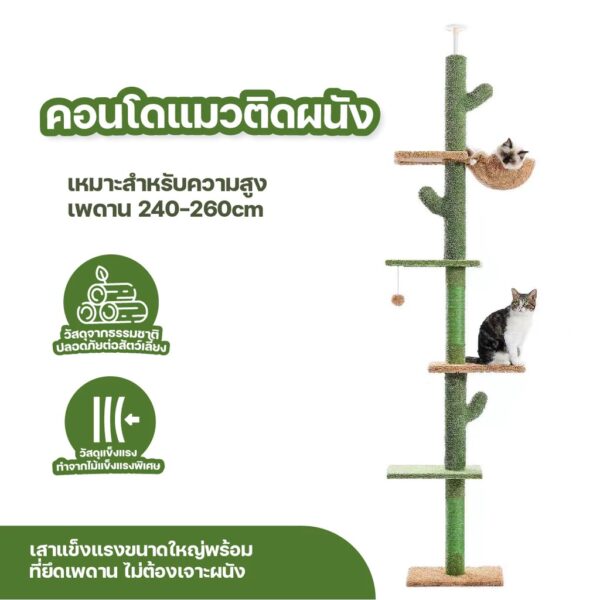 คอนโดแมวติดเพดาน แท่นเสาปีนป่าย เหมาะกับเพดานสูง 230-290 เซนติเมตร