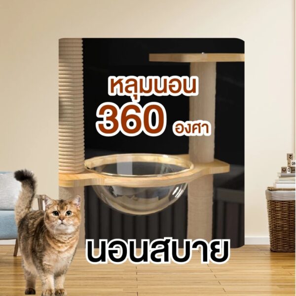 [Bratvee] คอนโดแมว บ้านแมว คอนโดแมวไม้อัด พร้อมหลุมนอนใส มีบันไดและกล่องนอน เสาลับเล็บทั้งต้น - Image 2