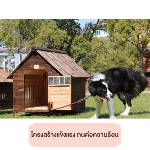 บ้านสุนัข กรงไม้ ขนาดใหญ่ ทนทานต่อสภาพอากาศ กันน้ำ กันฝน ทำความสะอาดง่าย - Image 6