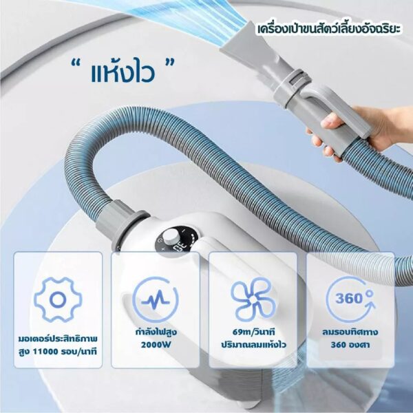 Hipidog 2000W เครื่องเป่าขนสัตว์เลี้ยงขนาดเล็ก เครื่องเป่าขนแมว มีประจุไอออนลบ ปรับแรงลมได้ - Image 5