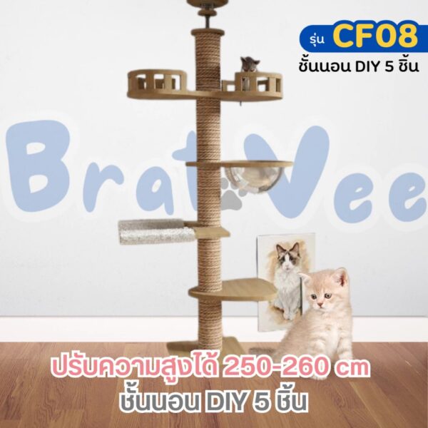 [Bratvee] คอนโดติดเพดาน ไม่ต้องเจาะ คอนโดแมวทรงสูง DIY ชั้นนอนได้ เหมาะสำหรับเพดานความสูง 250-260 cm