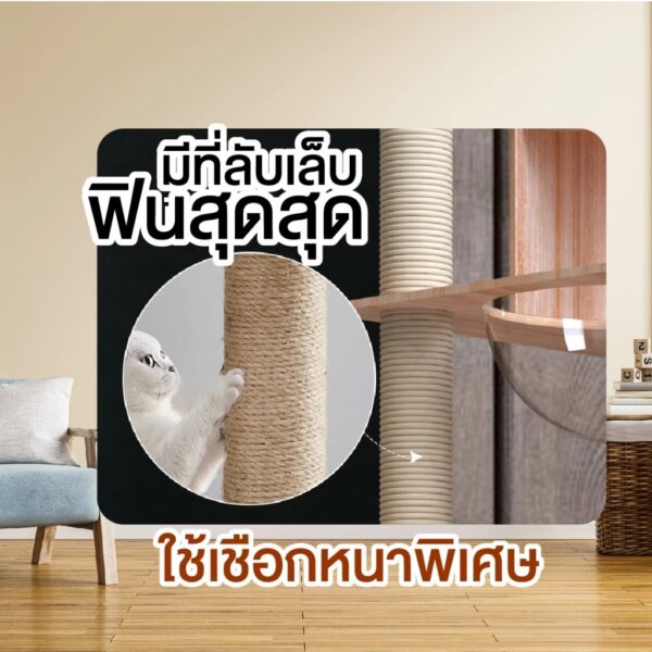[Bratvee] คอนโดแมว บ้านแมว คอนโดแมวไม้อัด พร้อมหลุมนอนใส มีบันไดและกล่องนอน เสาลับเล็บทั้งต้น - Image 3