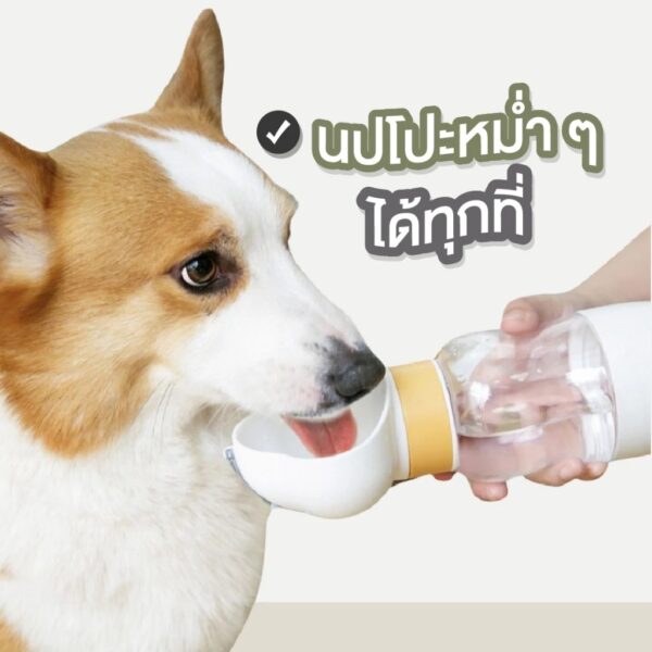 pet water bottle ขวดน้ำสัตว์เลี้ยง ขวดน้ำพกพา กระบอกน้ำสุนัขพกพา ขวดน้ำแมว 2in1 - Image 10