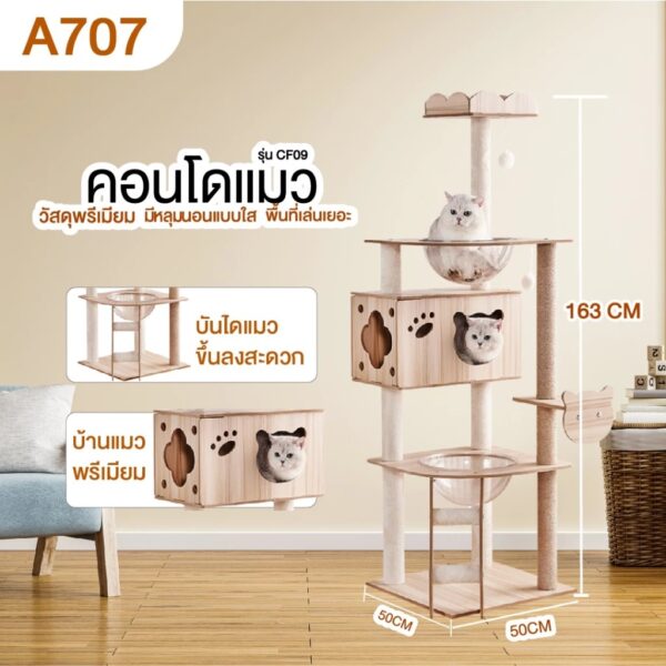 คอนโดแมว ขนาดใหญ่ สูง 200cm ที่ลับเล็บแมว คอนโดแมวไม้ งานไม้ทั้งหลัง