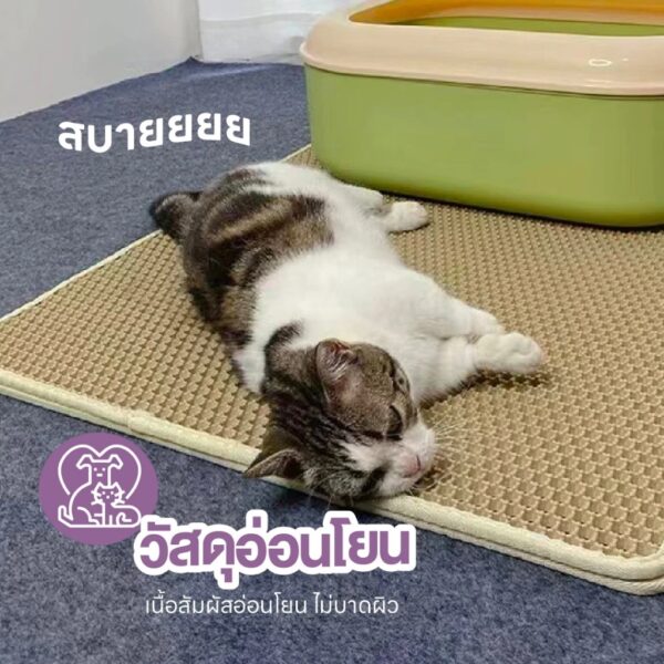 แผ่นดักทรายแมว 2 ชั้น ล้างน้ำได้ เททรายออกได้ ช่วยดักทรายแมว ที่ดักทรายแมว - Image 10