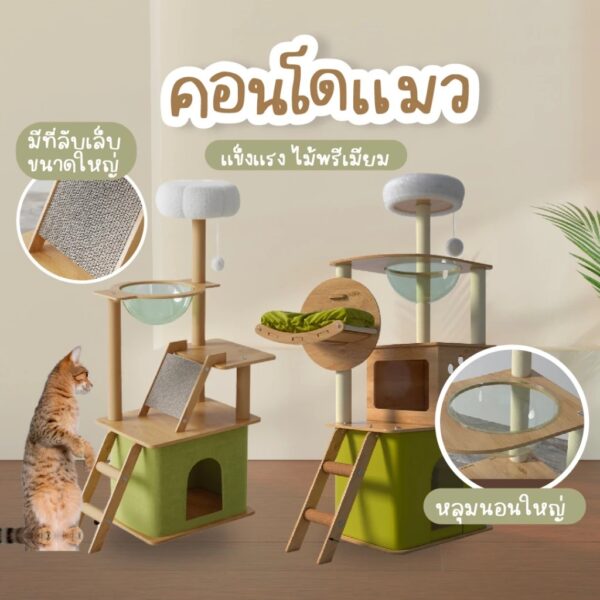 [Bratvee] คอนโดแมวไม้ บ้านเเมวไม้ คอนโดแมวหลุมอวกาศ เฟอร์นิเจอร์สัตว์เลี้ยง คอนโดแมว - Image 5