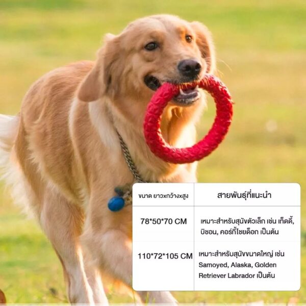 Pet Cage กรงสัตว์เลี้ยง คอกสุนัข บ้านสำหรับสุนัข กรงหมาขนาดใหญ่ รองรับน้ำหนักได้ 100KG - Image 10