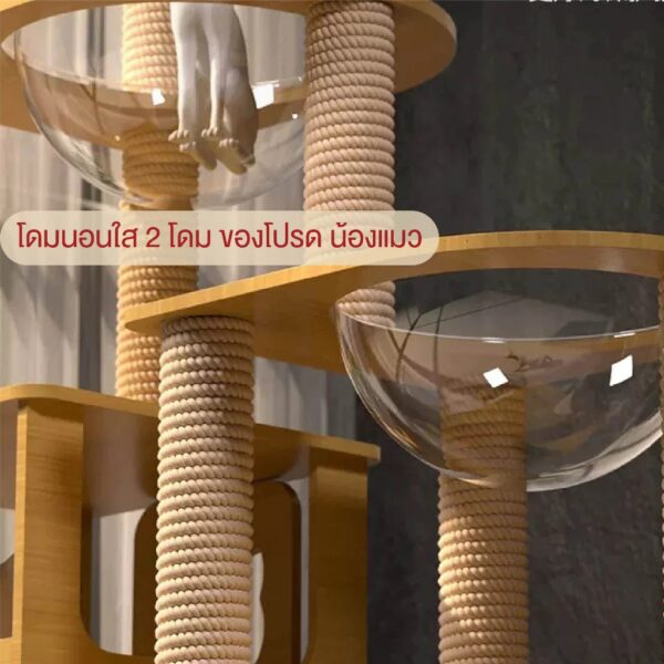 คอนโดแมวไม้ บ้านแมว คอนโดแมวเกรดพรีเมียม - Image 2