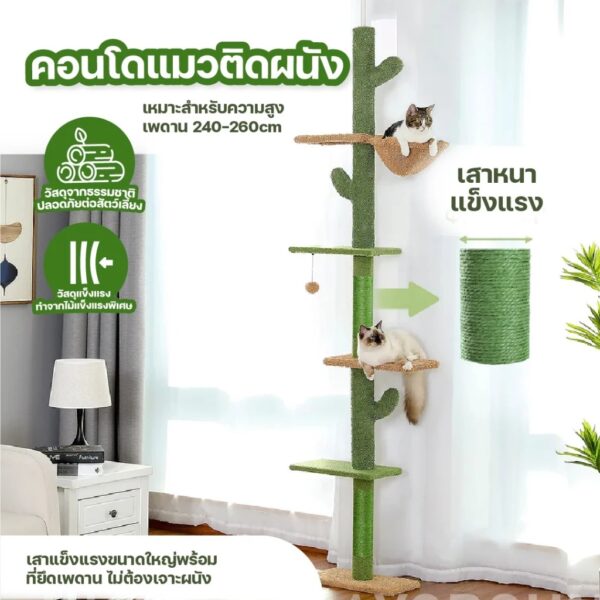 คอนโดแมวติดเพดาน แท่นเสาปีนป่าย เหมาะกับเพดานสูง 230-290 เซนติเมตร - Image 7