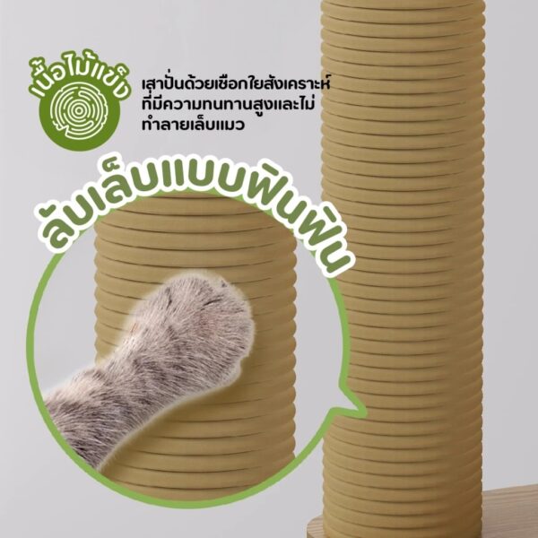 [NEW] [Bratvee] คอนโดแมว Cat Condo คอนโดแมวไม้ คอนโดสัตว์เลี้ยง ขนาดใหญ่ - Image 7
