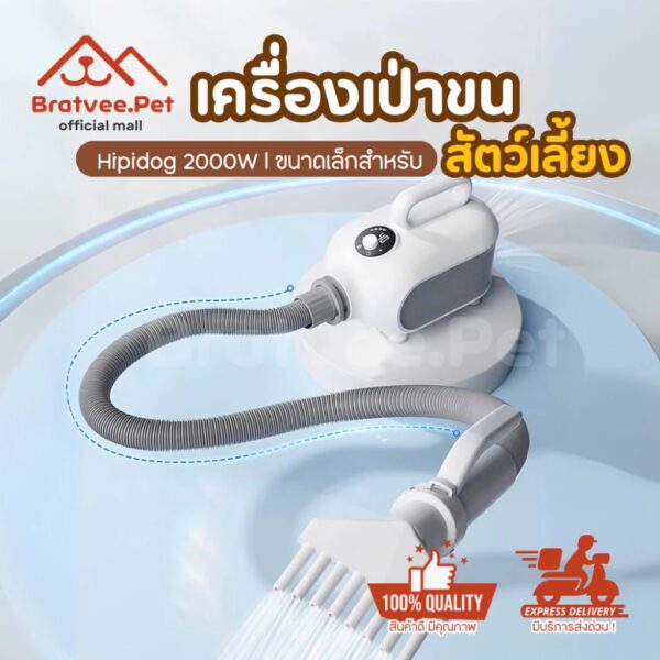 Hipidog 2000W เครื่องเป่าขนสัตว์เลี้ยงขนาดเล็ก เครื่องเป่าขนแมว มีประจุไอออนลบ ปรับแรงลมได้
