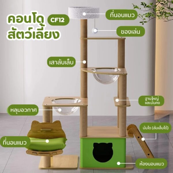 [NEW] [Bratvee] คอนโดแมว Cat Condo คอนโดแมวไม้ คอนโดสัตว์เลี้ยง ขนาดใหญ่ - Image 4