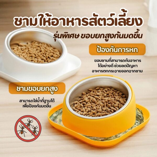 ชามกันมด ชามอาหารสัตว์เลี้ยง ชามสแตนเลส เกรด 304 ชามอาหารสุนัขและแมว - Image 5