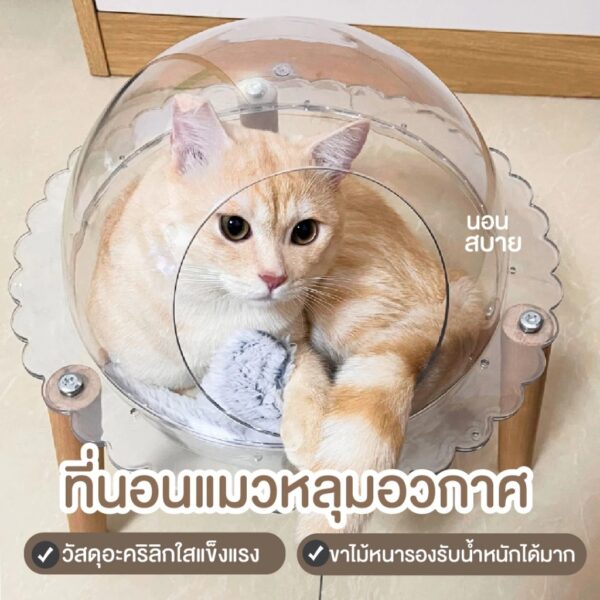 ที่นอนแมว โดมนอนอวกาศ หลุมอะคริลิคใส แบบกลม สไตล์มินิมอล เฟอร์นิเจอร์สัตว์เลี้ยง