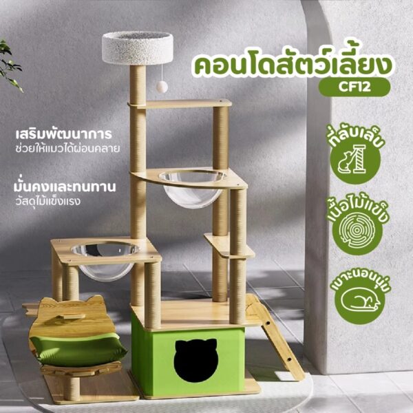 [NEW] [Bratvee] คอนโดแมว Cat Condo คอนโดแมวไม้ คอนโดสัตว์เลี้ยง ขนาดใหญ่ - Image 8
