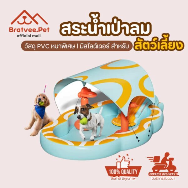 สระน้ำเป่าลมสำหรับสุนัข สระน้ำขนาดใหญ่ สระน้ำครอบครัว มีสไลเดอร์ ของแถมเพียบ