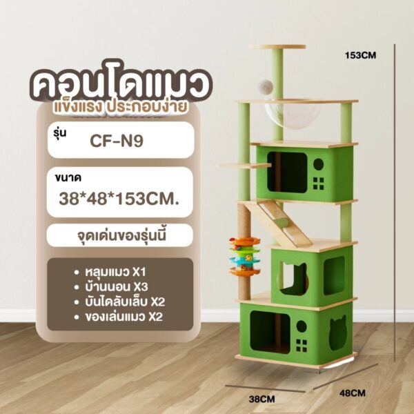 คอนโดแมว cat condo คอนโดแมวไม้ สีสันสดใส มีหลุมอวกาศใส