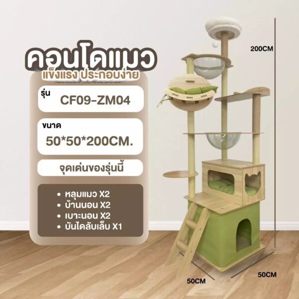 คอนโดแมว cat condo คอนโดแมวไม้ สีสันสดใส มีหลุมอวกาศใส