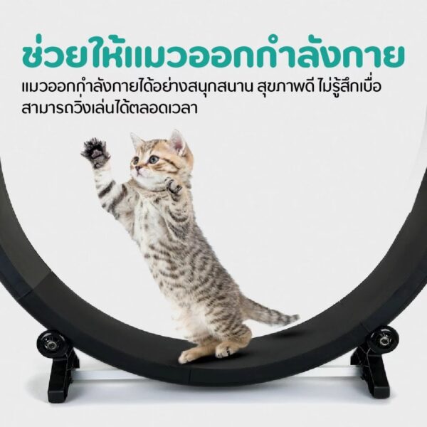 [Bratvee]ลู่วิ่งแมว ลู่วิ่งสัตว์เลี้ยง 128 ซม. ของเล่นแมว - Image 3