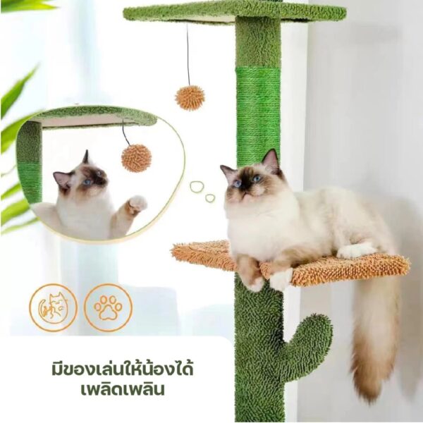 คอนโดแมวติดเพดาน แท่นเสาปีนป่าย เหมาะกับเพดานสูง 230-290 เซนติเมตร - Image 4