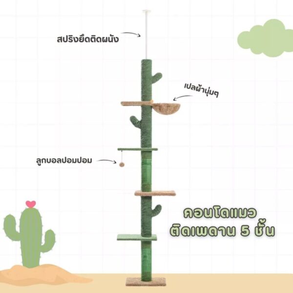 คอนโดแมวติดเพดาน แท่นเสาปีนป่าย เหมาะกับเพดานสูง 230-290 เซนติเมตร - Image 2