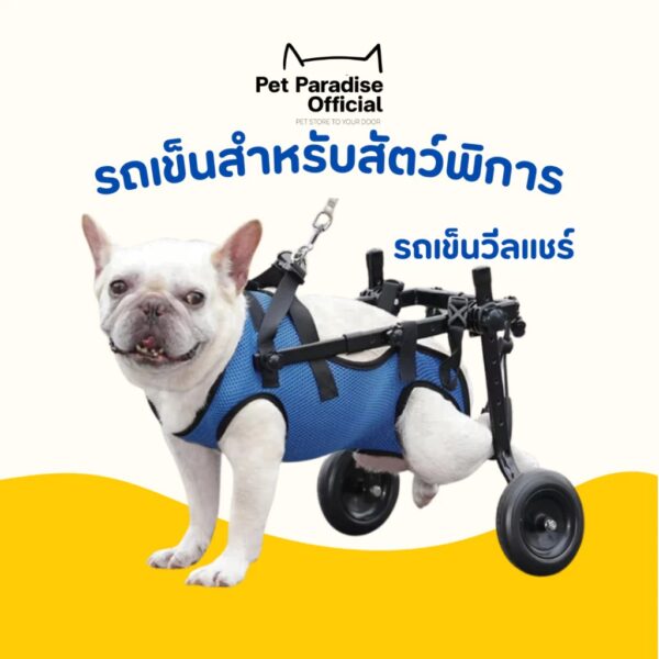 รถเข็นสัตว์เลี้ยง วีลแชร์สุนัข รถเข็นสำหรับสัตว์พิการ อุปกรณ์ช่วยฟื้นฟูสัตว์เลี้ยง แบบปรับได้