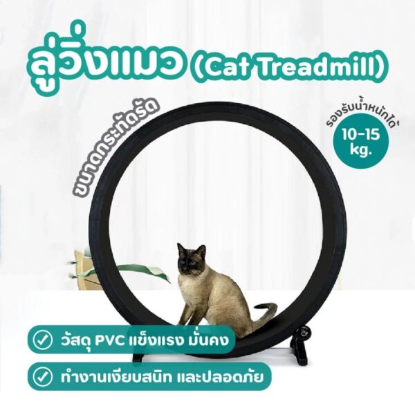 [Bratvee]ลู่วิ่งแมว ลู่วิ่งสัตว์เลี้ยง 128 ซม. ของเล่นแมว - Image 8