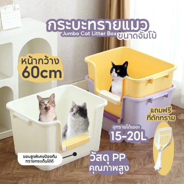 ✨กระบะทรายแมวจัมโบ้ ขนาด 60cm.(ไม่มีฝา) มีตะแกรงดักทราย ห้องน้ำแมวขนาดใหญ่ - Image 10
