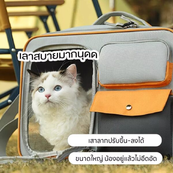 [Bratvee] กระเป๋าสัตว์เลี้ยง มีล้อลาก กระเป๋าใส่แมว กระเป๋าเดินทางสัตว์เลี้ยง กระเป๋าแมวมีล้อลาก - Image 7
