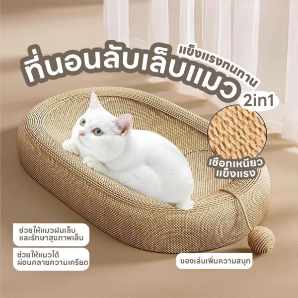 [Bratvee] ที่นอนลับเล็บแมว 2in1 รูปทรงวงรี แผ่นลับเล็บแมว ที่นอนแมว ที่ลับเล็บแมว - Image 4