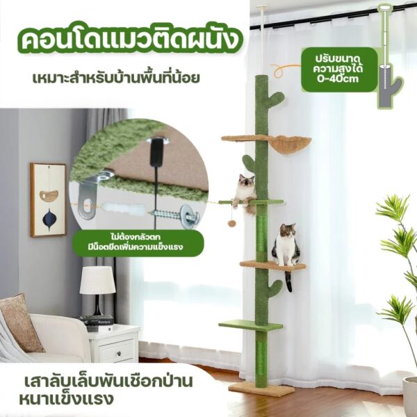 คอนโดแมวติดเพดาน แท่นเสาปีนป่าย เหมาะกับเพดานสูง 230-290 เซนติเมตร - Image 6