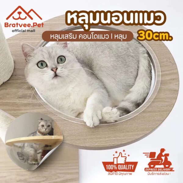 หลุมอวกาศ หลุมนอนแมว DIY แคปซูลอวกาศ โดมอะคริลิคแมว พร้อมแท่นไม้ เฟอร์นิเจอร์สัตว์เลี้ยง