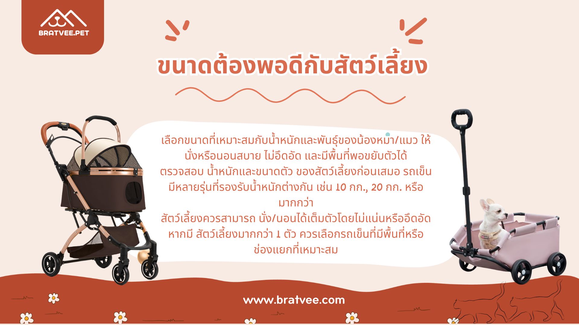ภาพ 2