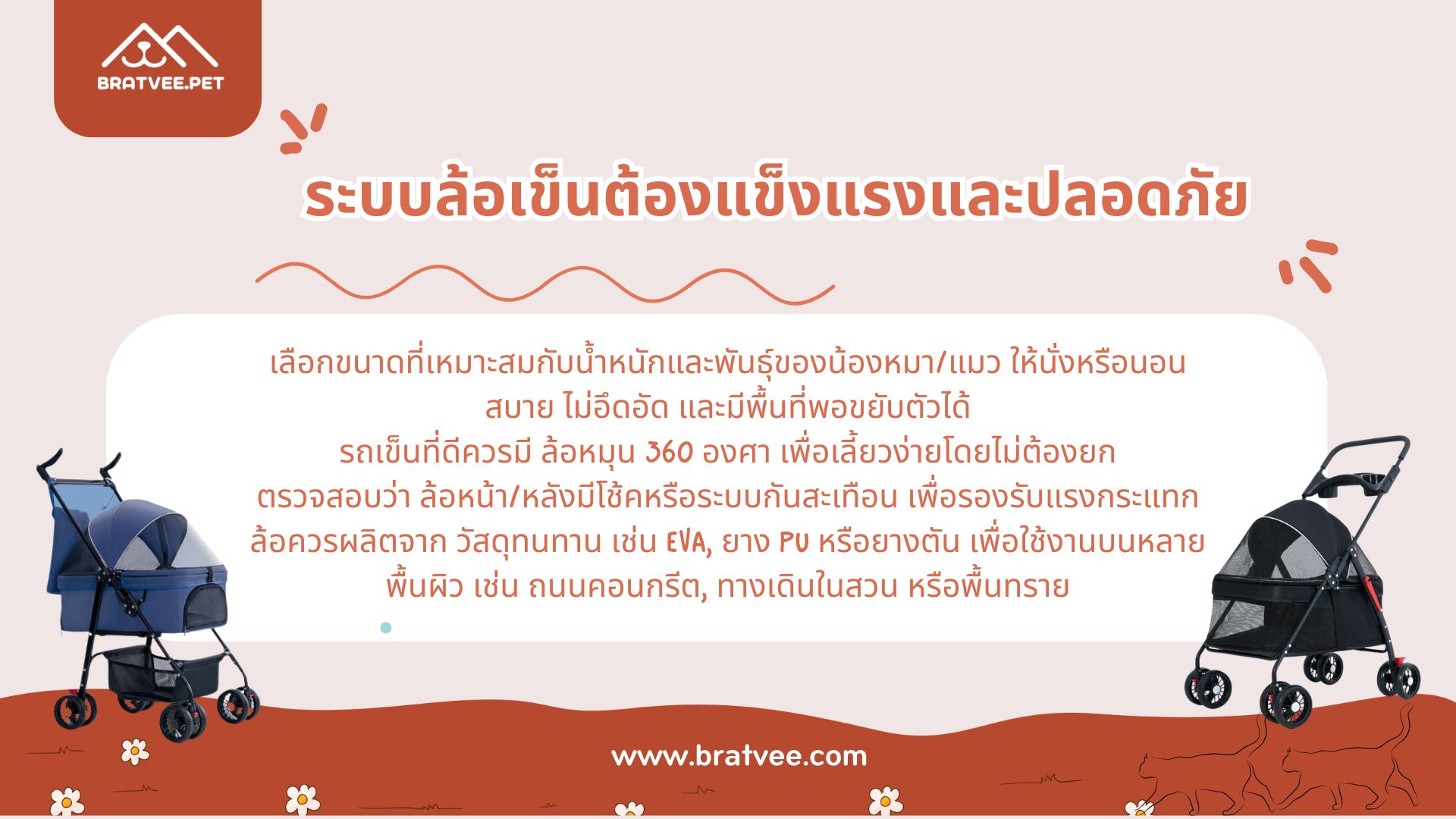 ภาพ 3