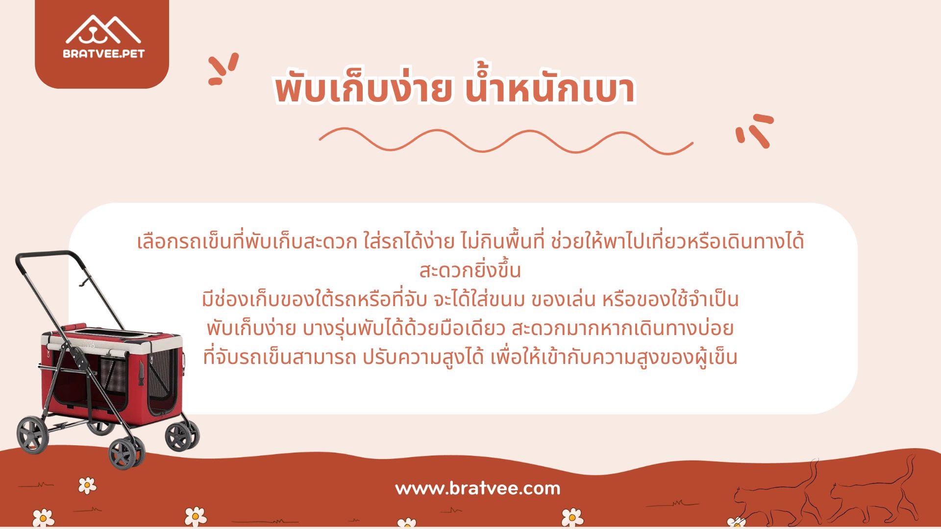 ภาพ 5