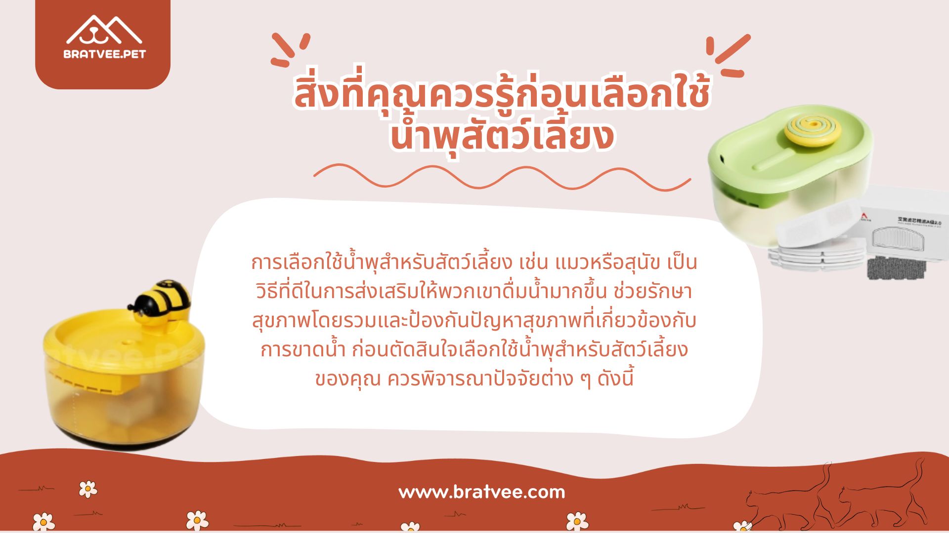ภาพ 3