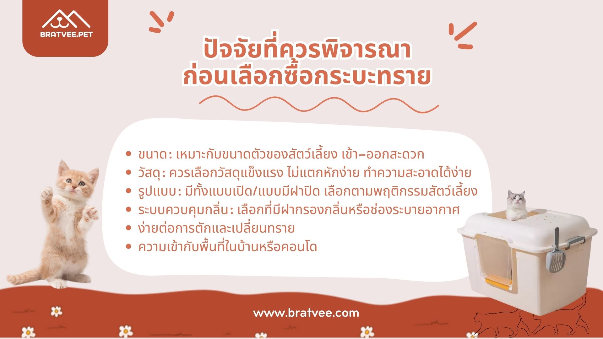 ภาพ 1
