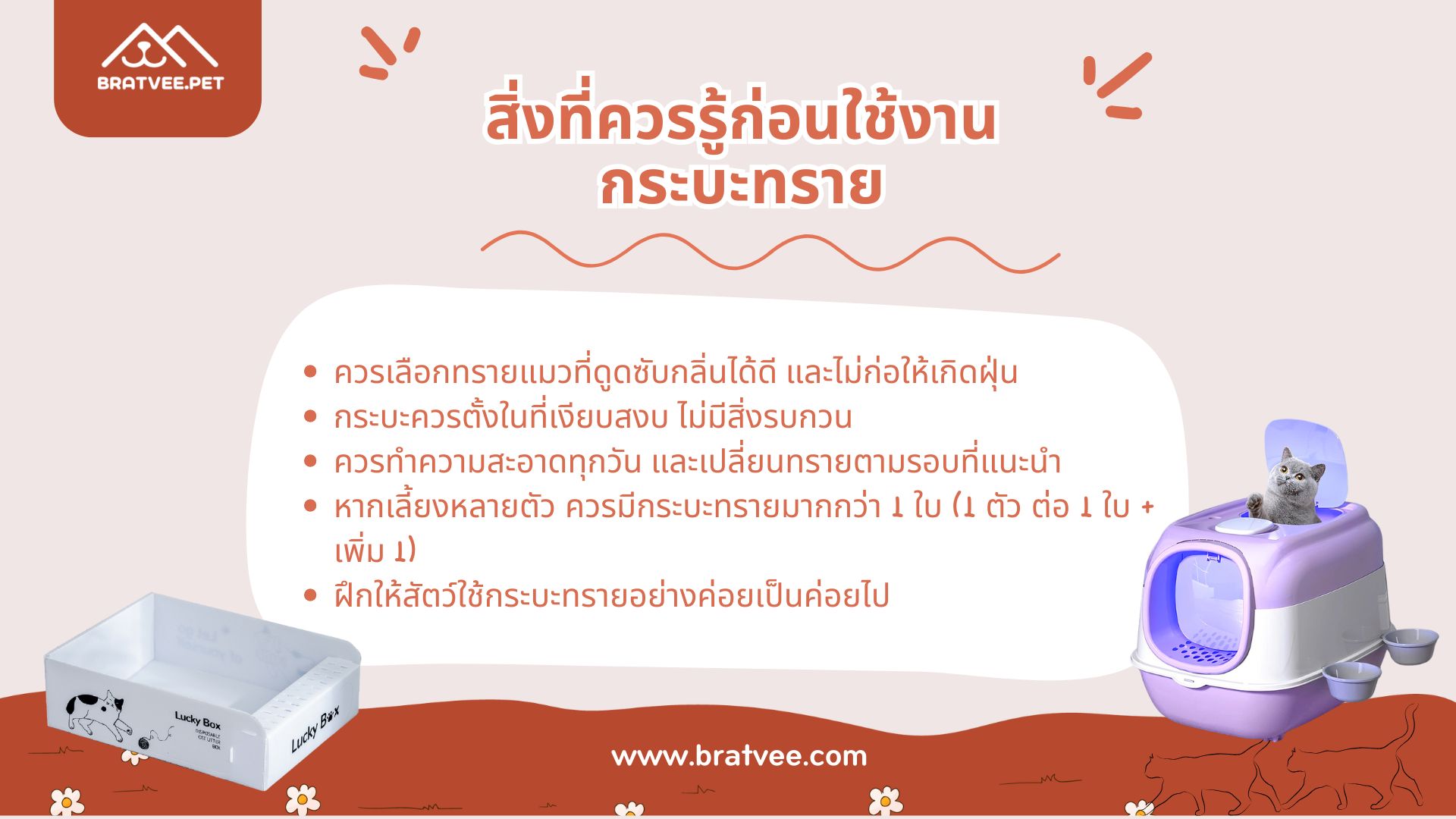 ภาพ 2