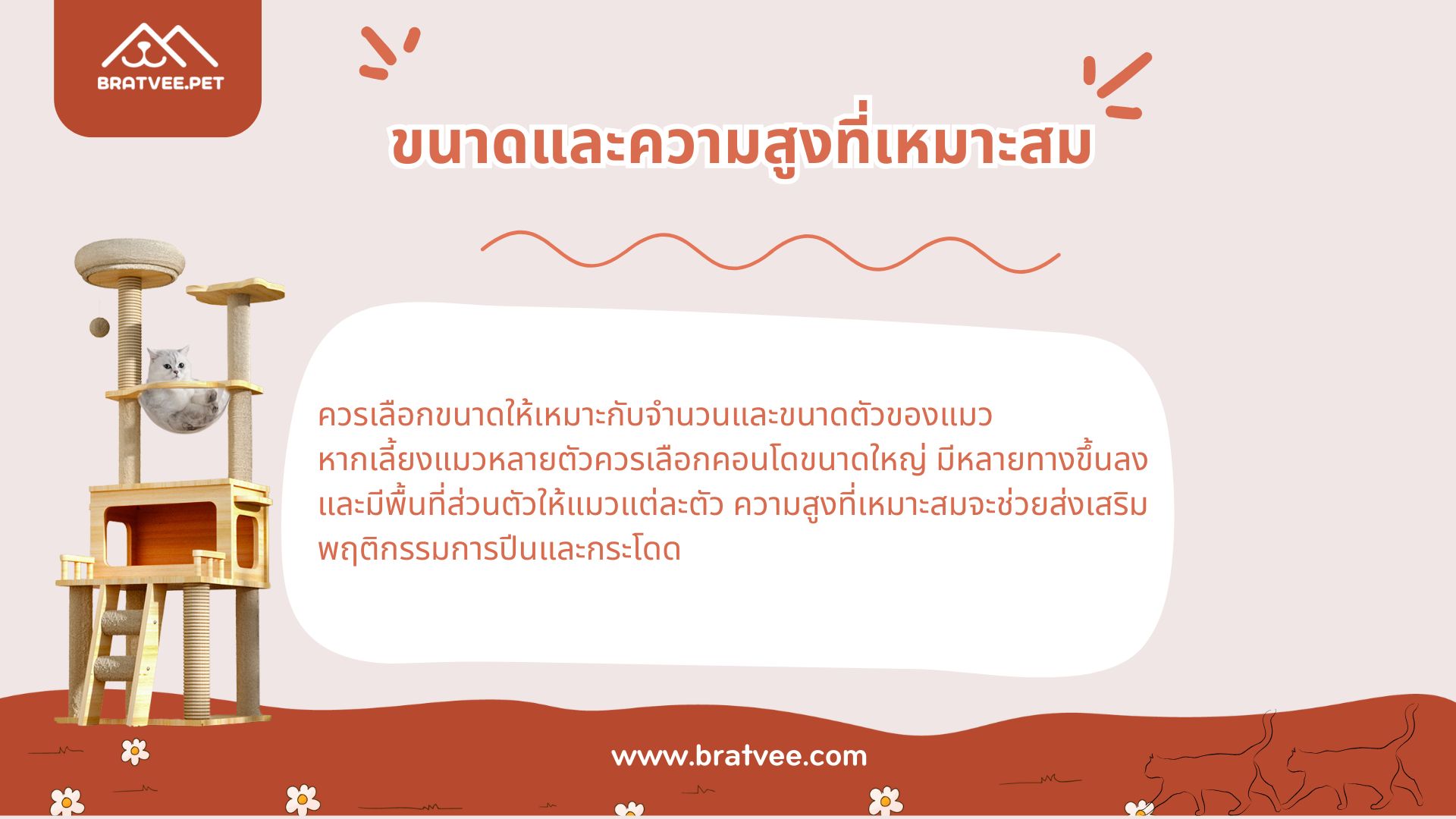 ภาพ 2