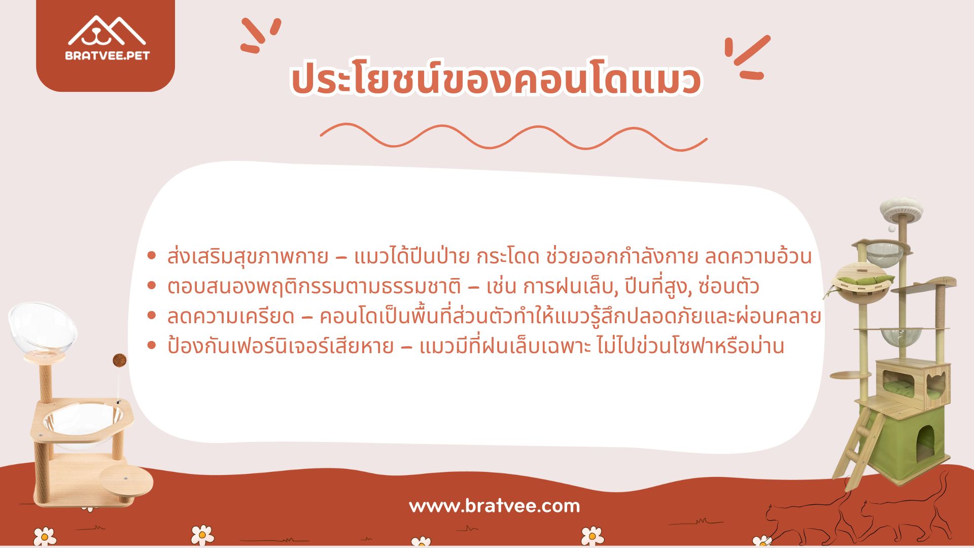 ภาพ 4