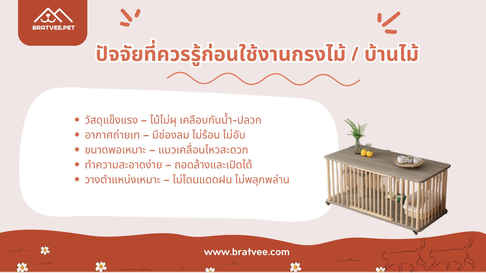 ภาพ 2