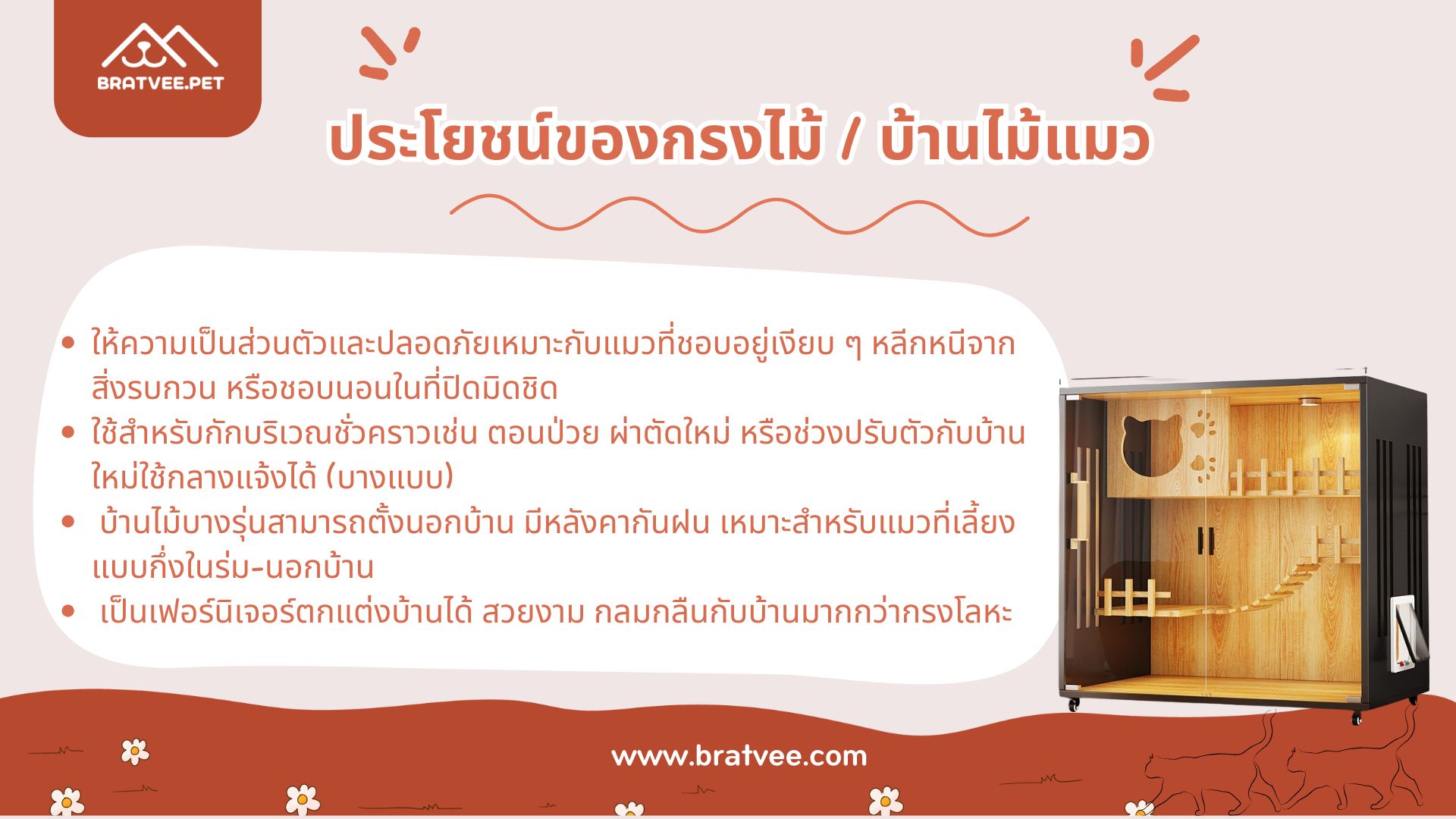 ภาพ 3