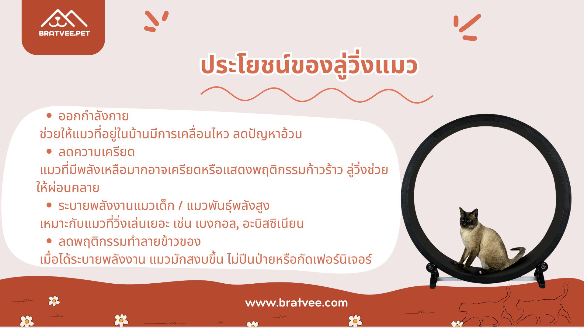 ภาพ 2