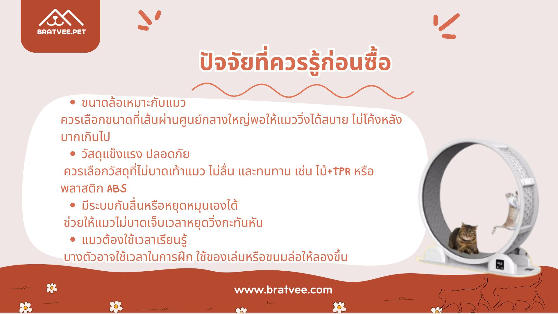 ภาพ 3